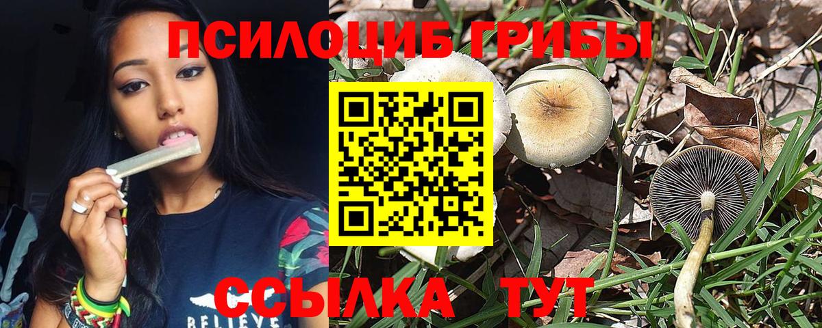 Галлюциногенные грибы прущие грибы Мариинск
